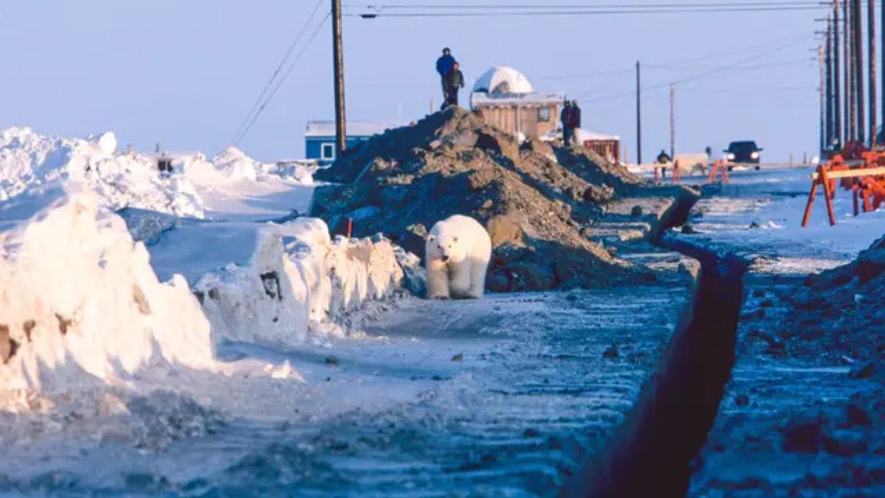 Alaska Interior – Winter Storm Brings 3–6 Inches of Snow Through Sunday, Blizzard Conditions Possible
