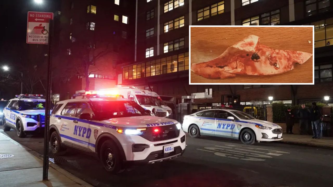 Bloodied Patient Killed by Police After Barricade Sparks Lockdown at Brooklyn Hospital