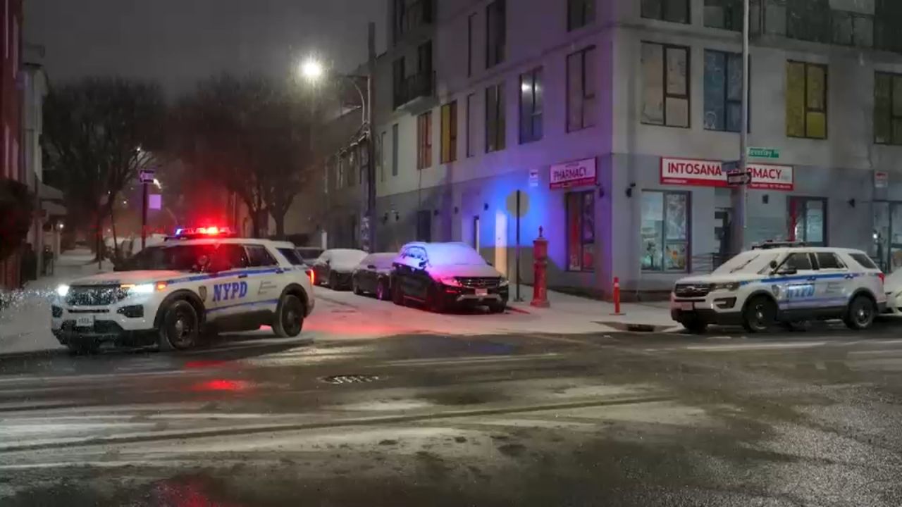 Brooklyn Infant Found Dead Inside Duffel Bag, Mother Taken Into Custody