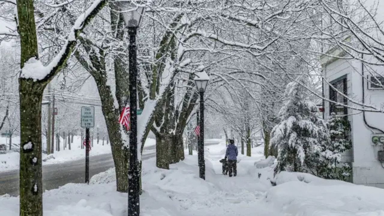 Light Snow Expected From Georgia to the Carolinas as Weekend Storm Brushes the Northeast
