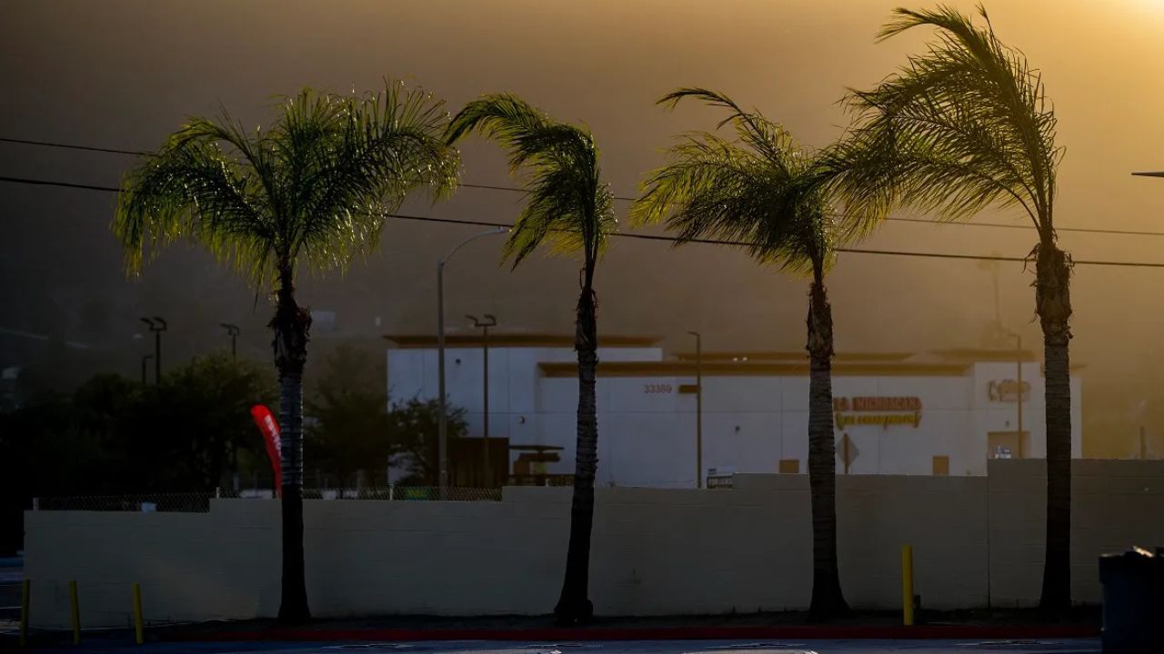 Powerful Santa Ana Winds Sweep Southern California Again, But This Time Without Wildfire Fears