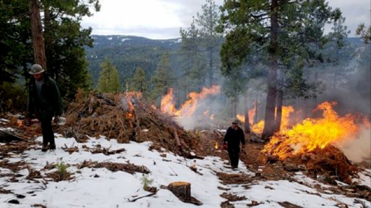 Warm Winter Raises Wildfire Concerns Across Western U.S. as Snowpack Continues to Shrink