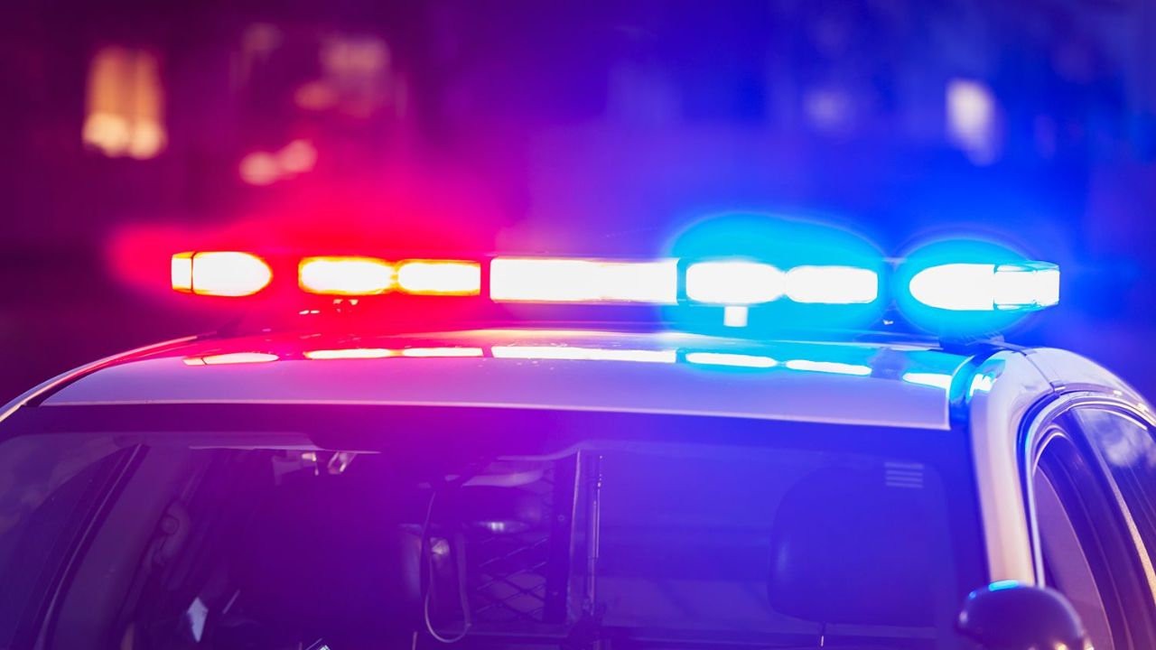 Woman Arrested After Loose Dog Bites Two Children in Bolton